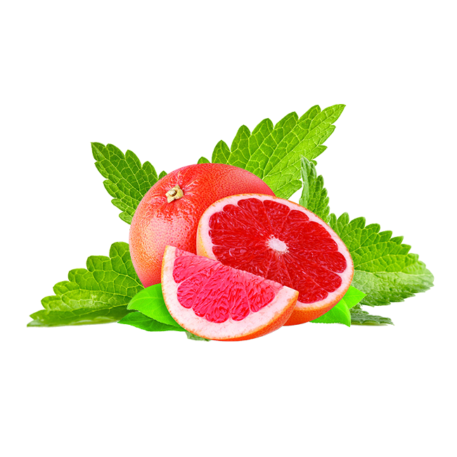 Hookafina Grapefruit Mint - HFN