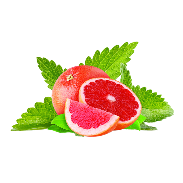 Hookafina Grapefruit Mint - HFN