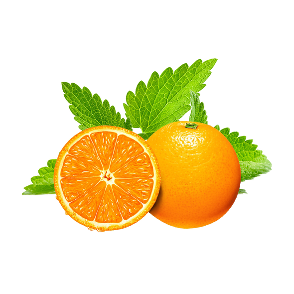 Hookafina Orange Mint - HFN
